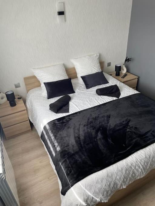 Maison D'Hotes Baslieux-sous-Chatillon Extérieur photo