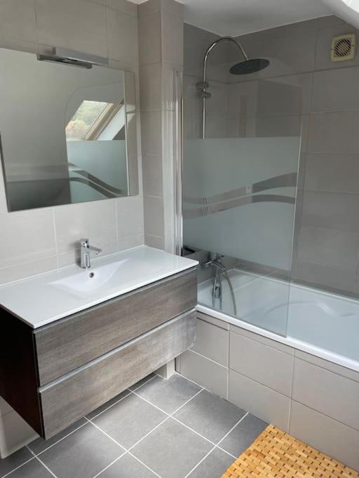 Maison D'Hotes Baslieux-sous-Chatillon Extérieur photo